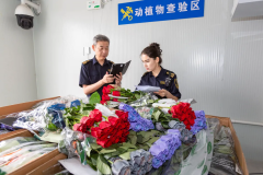 1839万亿元！进口消费品市场盈利加速